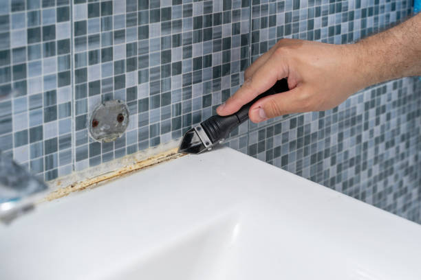 Best Mold Testing  in Mehlville, MO